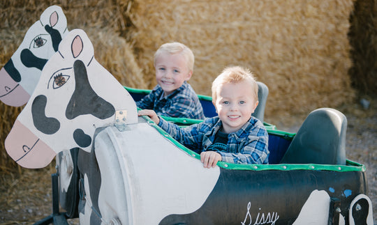 Cow Train_Boys_Smiling Plaid.jpg