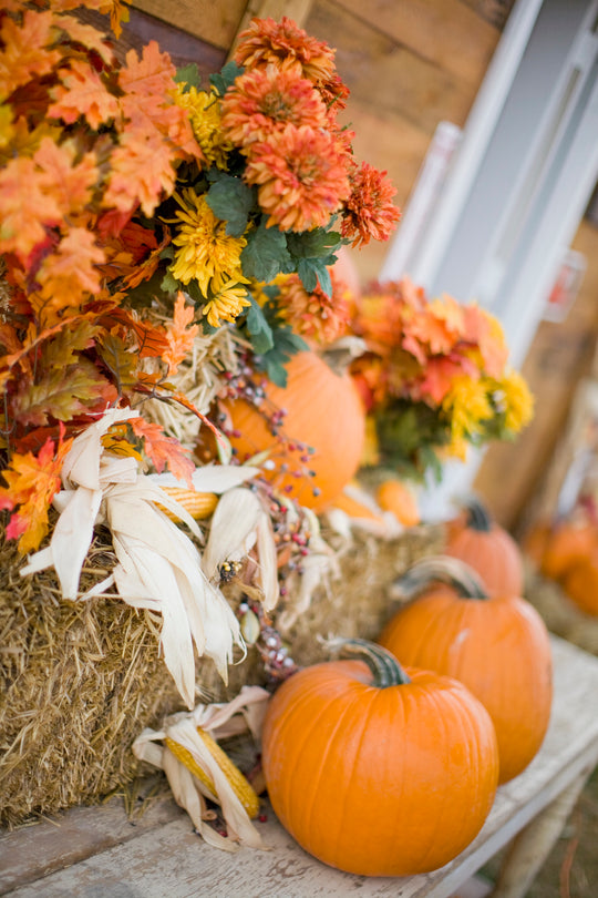 Decor_Autumn Fall_Pumpkin Haybale Leaves.jpg