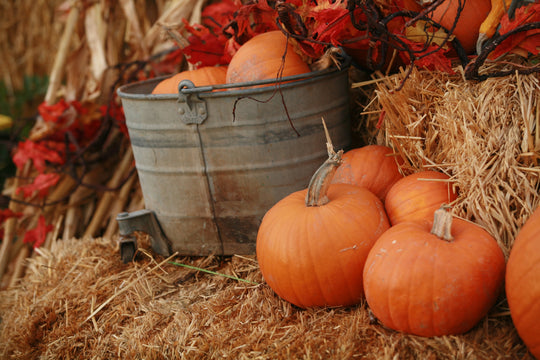 Decor_Autumn Fall_Pumpkins Haybale Bucket.jpg