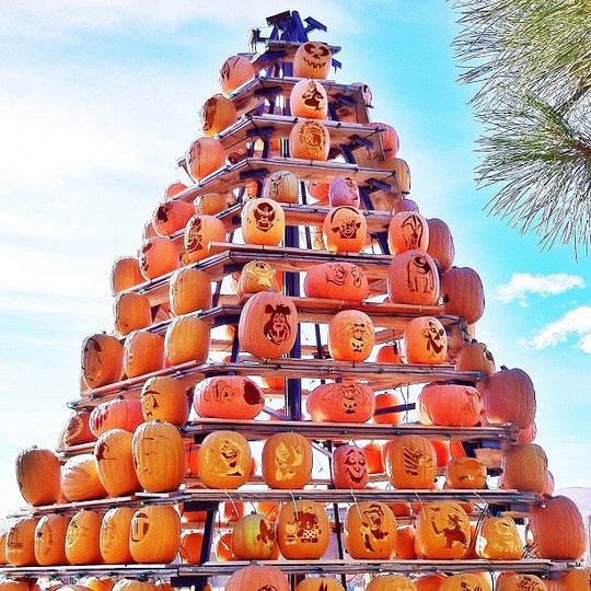 Pumpkin Tower_day.jpg