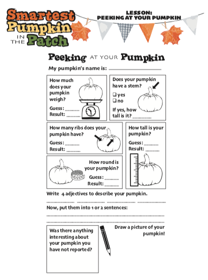 Pumpkin Curriculum Materials - The MAiZE