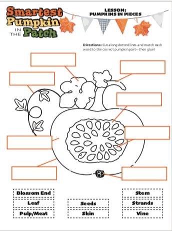 Pumpkin Curriculum Materials - The MAiZE