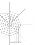 Original Spider Web