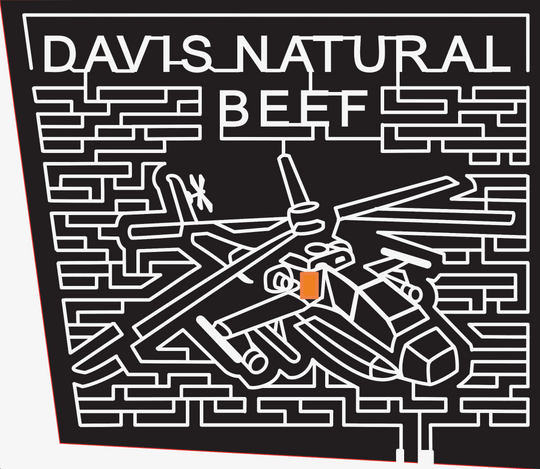 07 MT Townsend Montana, Helicopter, aviation.jpg