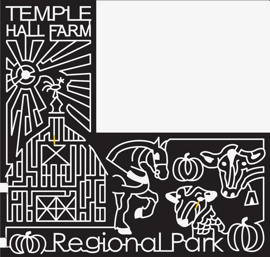 07_VA_Leesburg Virginia, Sun, Rooster, Cow, Horse, Pumpkin, Sheep, Barn.jpg