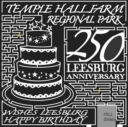 08_VA_Leesburg Virginia, Birthday, Cake, star, Happy Birthday, 250, 2008, icing.jpg