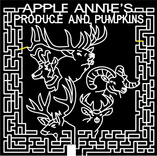 10_AZ_Wilcox A Arizona, elk, Deer, Animal, wildlife, Mountain, goat, 2010, moose