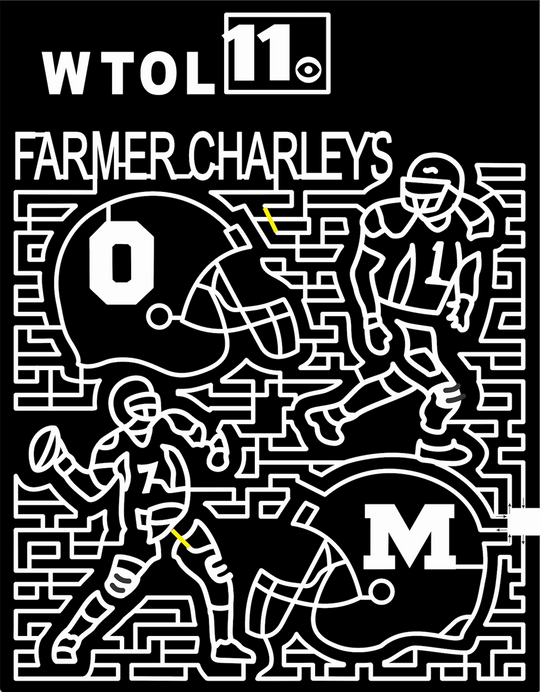 10_MI_Monroe 2010, Football, Helmet, Sports, Player, Quarterback, College, logo, sponsor, Michigan, Farmer, Charleys, wtol, cbs