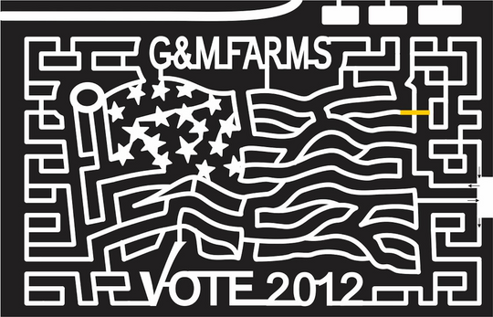 12_CA_Livermore California, Flag, America, wave, pole, vote, checkmark, Patriotic, 2012