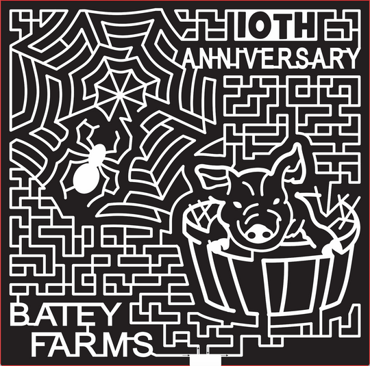 16_TN,Murfreesboro, 2016, Tennesse, spider, web, charlottes web, pig, barrel, 10th anniversary, anniversary, insect, bug, animal