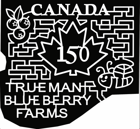 2017 17_NB_Aulac, canada, leaf, canada leaf, bug, insect, berries, fruit, blueberry.jpg