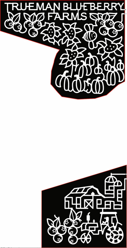 18_NB_Aulac (3) trueman blueberry farms sunflower flower pumpkin pumpkins barn silo tractor blueberries