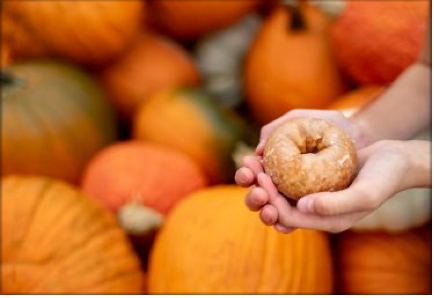 Donuts_Product Picture 1_RJ.jpg