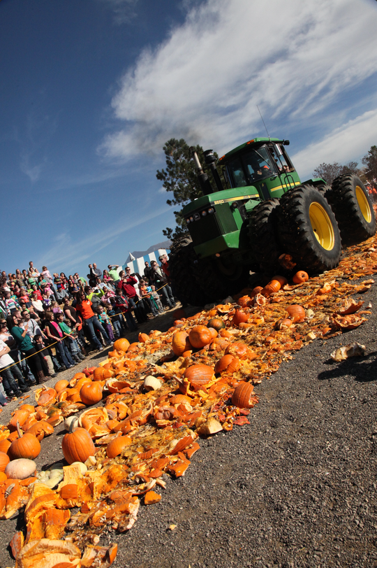 Pumpkin Smash_Tractor.jpg