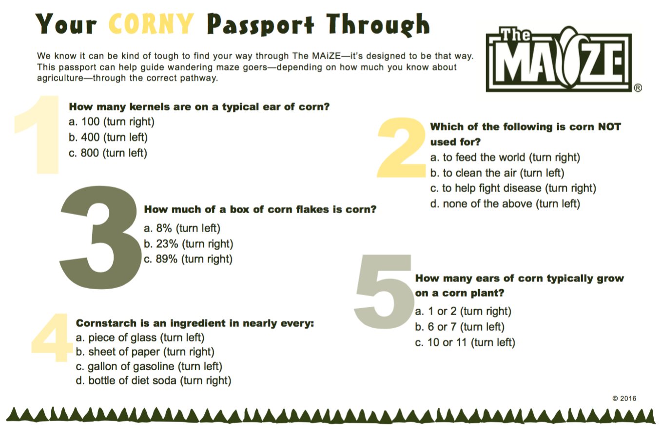 Passports - The MAiZE