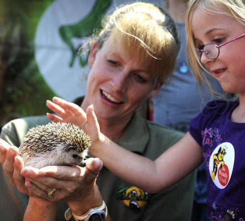 Wild Wonders_Petting Hedgehog.jpg