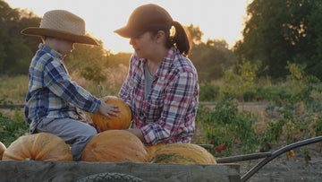 Mom and little son are farmers talking near a full pumpkin cart on the field at sunset