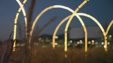 light arches night wheat corn dry blur
