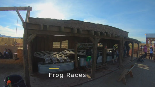 Frog Races